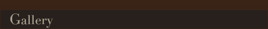 ギャラリー